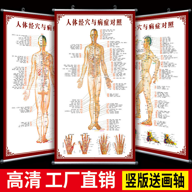 人体经穴与病症对照图中医养生馆十二经络穴位高清标准大图挂图