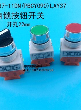 LAY37-11DN(PBCY090)LAY37 平按钮开关自复位按钮 22MM电机配件