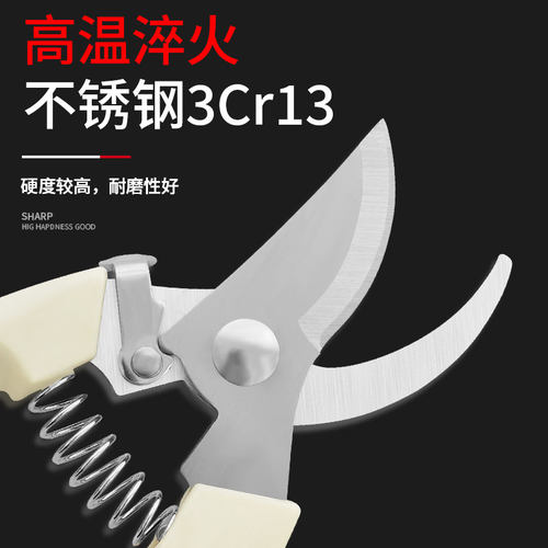 枝修枝剪不锈钢树采摘水果花木剪园林果树花卉枝嫁接园艺剪刀工具
