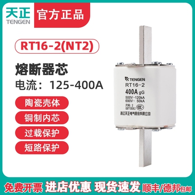 TENGEN天正电气 RT16-2 NT2 RT36-2 熔断器芯 保险丝315A350A400A