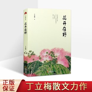 丁立梅散文集 花开在野 丁立梅作品 丁立梅散文精选文学书籍 金城出版社