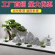 雪浪石切片组合景观石室内枯山水造景天然假山石头庭院泰山石摆件