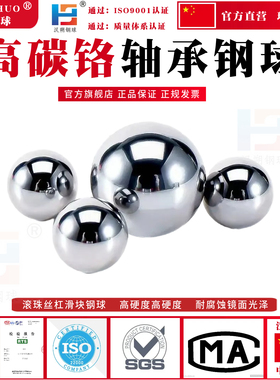 高品质滚珠丝杠钢球1/2/3/5/6.35/12.7mmG3/G5/G10级轴承钢珠钢球