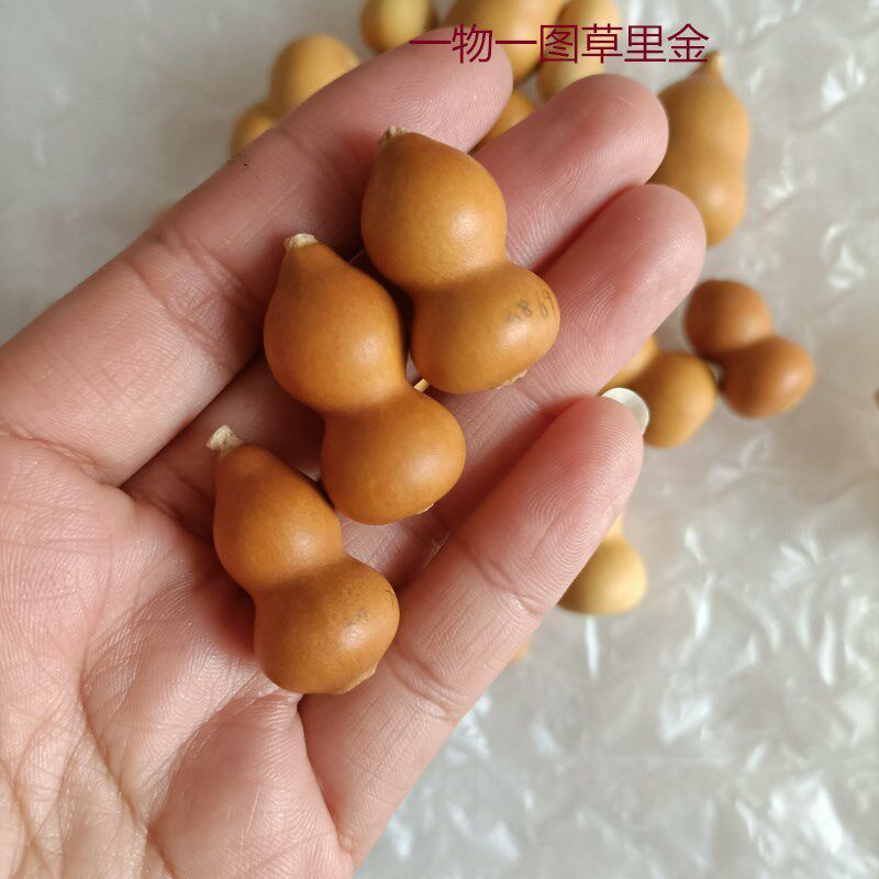 精品天然草里金i小葫芦手捻把玩收藏DIY小挂件铁包金3厘米