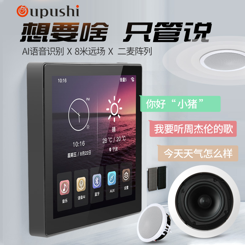 hivi/惠威 吸顶喇叭背景音乐套装家庭智能嵌入式8型机wii