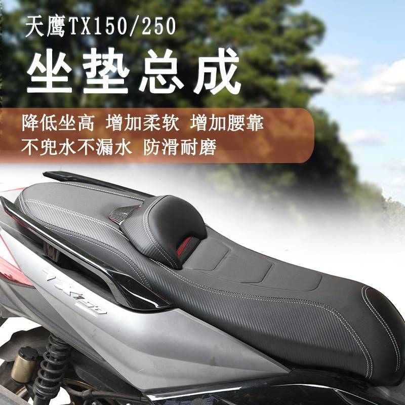 适用钱江迅150天鹰TX150 TX250 蓝鲟林海150坐垫总成降低坐高柔软