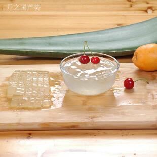 库拉索芦荟叶片芦荟盆栽新鲜芦荟灌敷芦荟大叶片食用芦荟植物