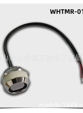 工厂门店 DS9092TM1990门禁读头探头WHTMR-01A
