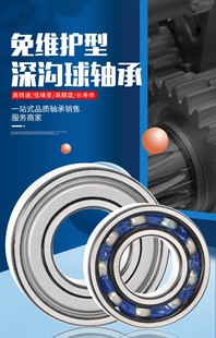 6007 6006 6008 6009 防水防尘高速免维护轴承6004 6010 6005