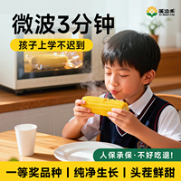 新鲜黄糯玉米微波炉加热即食速食半成品儿童学生早上吃的美食早餐