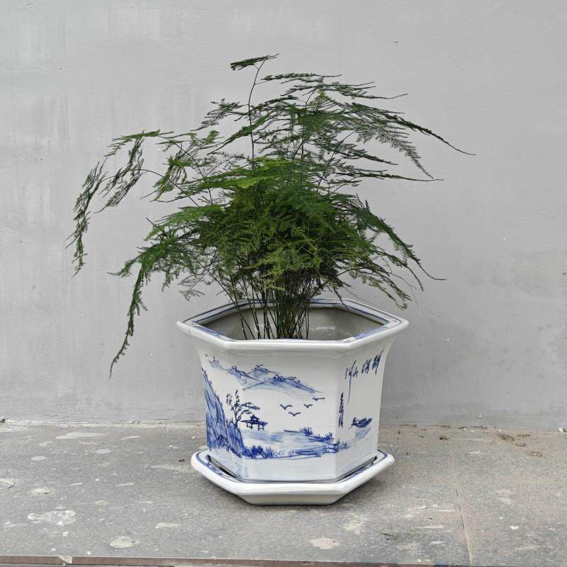 陶瓷花盆温青花瓷带托盘兰花绿萝盆景老庄花卉八角盆多肉盆