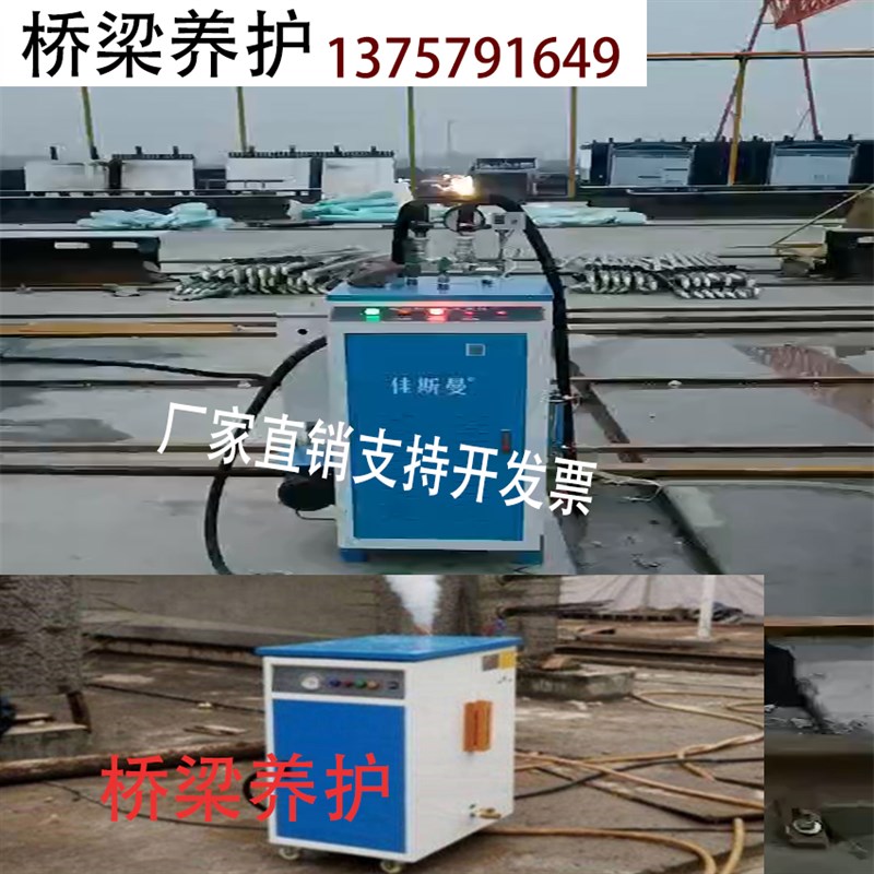 佳先锅炉全自动电热蒸汽s发生器服装熨烫桥梁养护工业电炉酿酒设