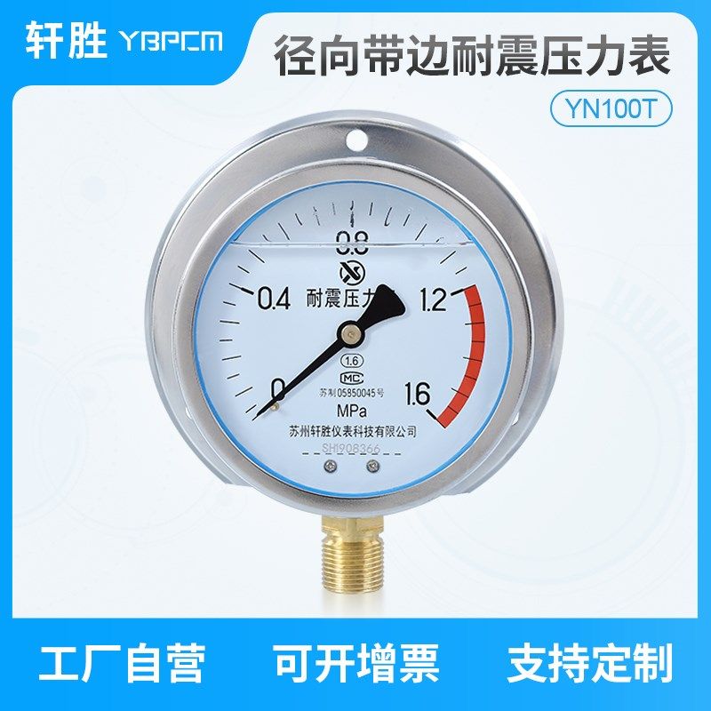 YN100T径向带后边抗震压力表 法兰盘固定安装 船用耐震压力表