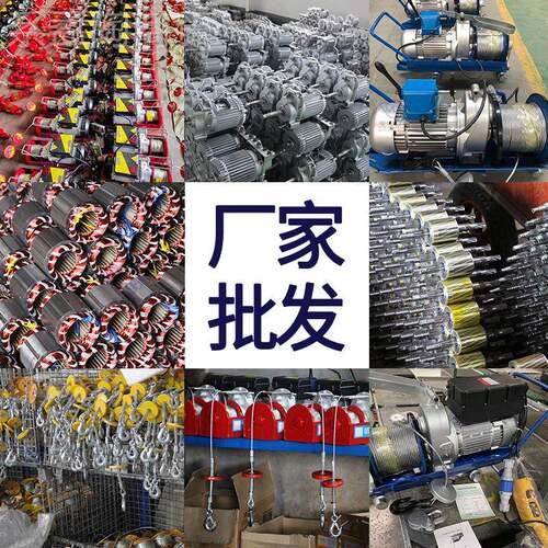 220V家用电动小葫芦1TELECTRIC未来亿家 HOI1ST微型提升机10V4v40