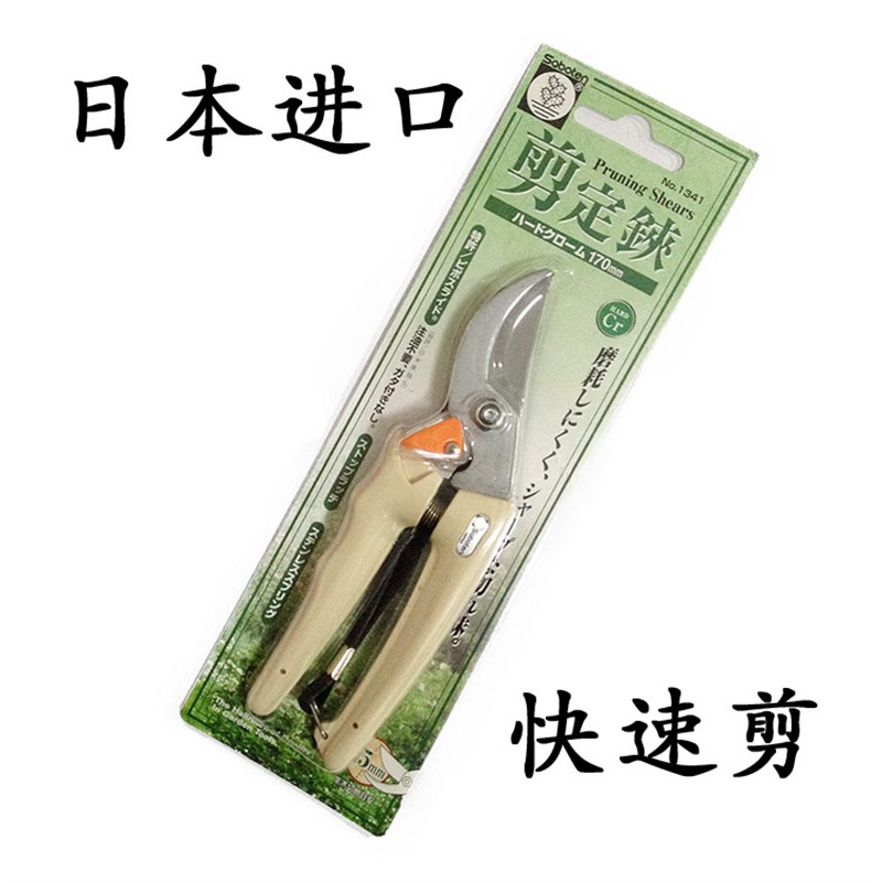 日本进口Saboten仙人掌果树剪修枝树枝剪子女生小手果枝剪刀未改