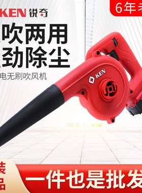 锐奇充电式吹风机锂电吸尘器BL8032E两用鼓风机20V电脑除尘器