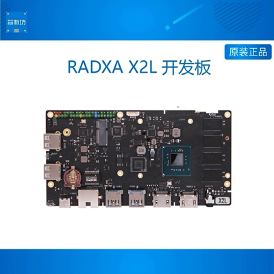 RADXA X2L 英特尔Celeron J4125 四核开发板 支持WIN10 Linux系统