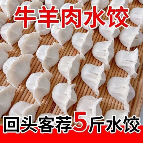 手工饺子速冻荠菜肉水饺北方面食品大葱猪肉扁食早餐蒸饺馄饨煎饺