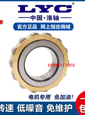 洛阳圆柱滚子减速机轴承 RN205 RN206 RN307 RN308 309 312 222 M