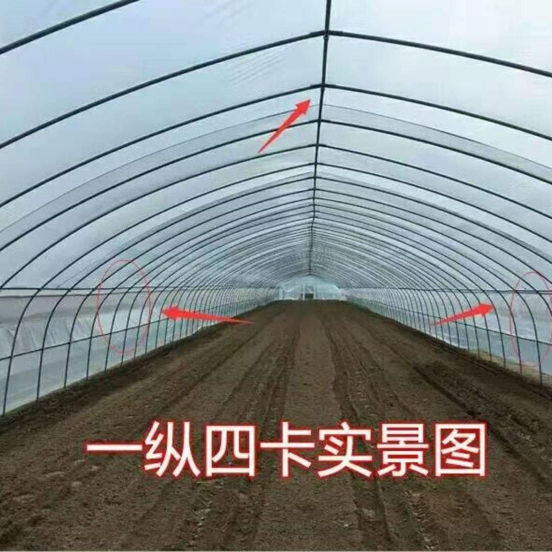 温室大棚骨架蔬菜无滴膜大棚大棚黑白膜养殖保温种植椭圆管
