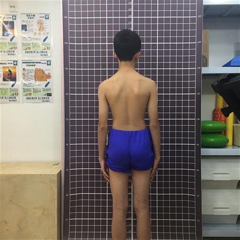 健身评估网格体姿图定制简约体测表人体姿势分析墙纸体位测量体态