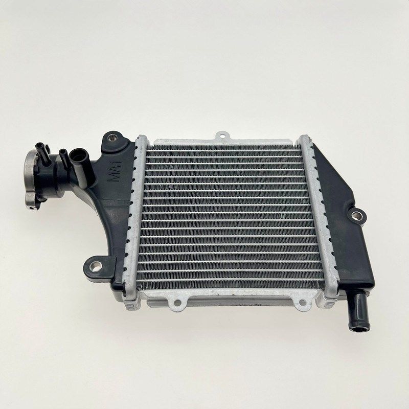 适用SYM厦杏三阳飞度3飞度4 XS150T-2B FNX150火凤凰水箱 散热器