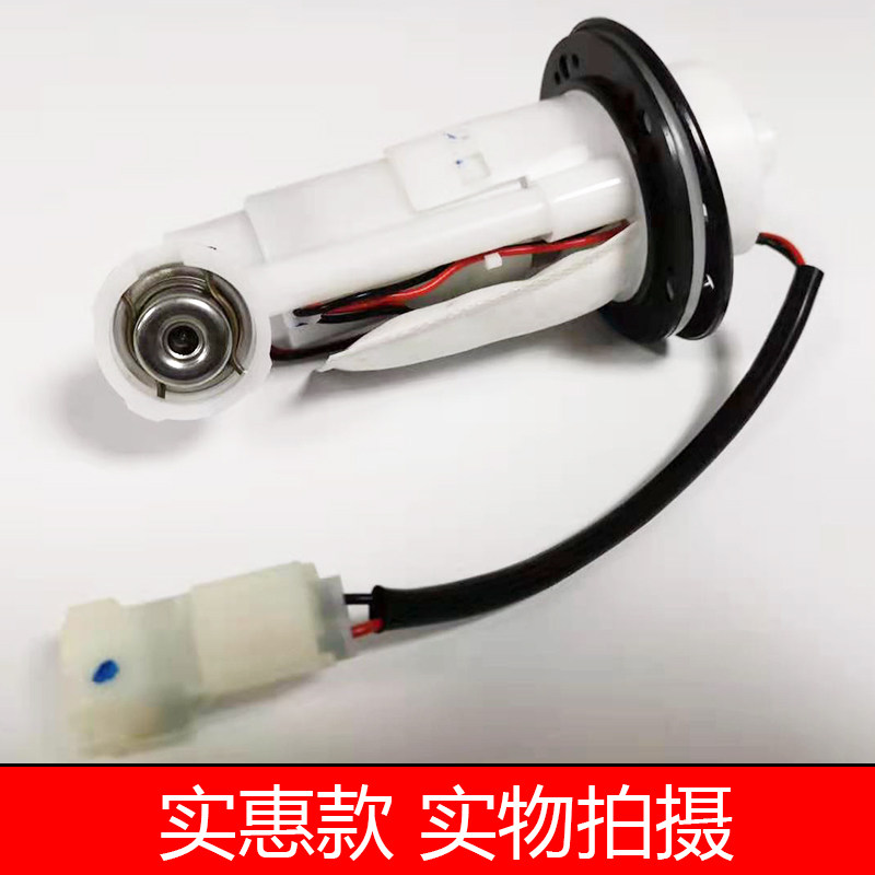 适用小忍者电喷国四地平线R35V6枭风N19大蟒蛇摩托跑车汽油泵总成,农用物资,苗木固定器/支撑器,淘宝优惠券,粉丝福利购,淘宝优惠卷