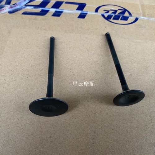 力帆摩托KPT200 KPS200 LF200-10L 10D 10R气门汽门进气门排气门