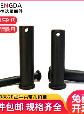 GB882B型销轴圆柱带孔轴销T型平头定位销钉M16M18M20M25M30M40*10