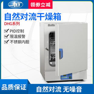 9051A 上海一恒 DHG 9031A 9091A自然对流 干燥箱实验室DHG