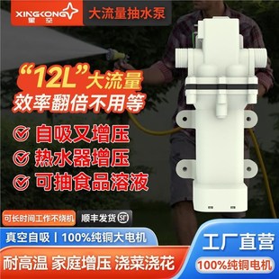 星空自吸大流量抽水泵电动12v家用小型耐高温增压泵浇菜泵隔膜泵
