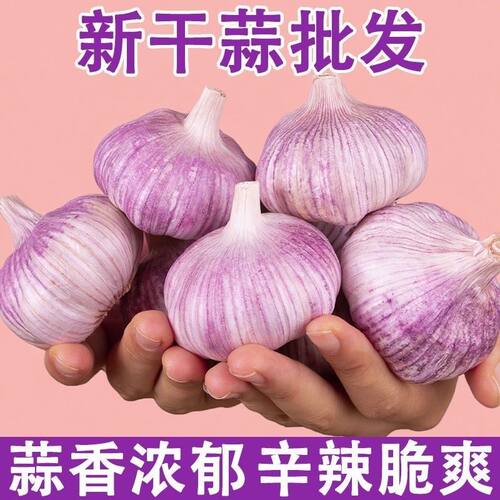 3斤金乡大蒜】干蒜大蒜多瓣蒜紫白皮蒜晒够36天大蒜2026新鲜大蒜