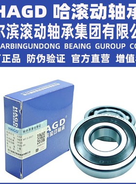 哈尔滨滚动高速轴承6226 6228 6230 6232 6234 6236 6238M/P5