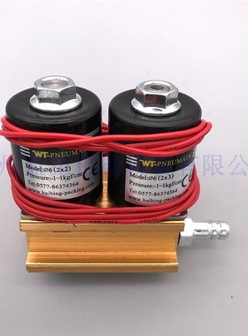 WT-PNEUMATIC海滨包装厂电磁阀组合阀6(2X2)和6(2X3) 220V 24V
