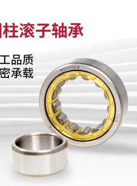 圆柱滚子轴承NU405 406 407 408 409 410 411 412 413 414 415EM