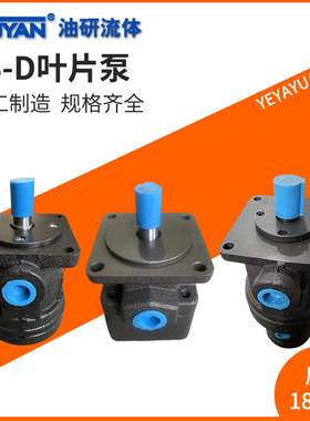 YB-D6.3 D4 D2.5叶片泵D10 D12 D16 20 D25 32 40YBD50 63 80 100