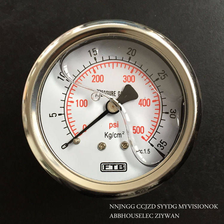 FTB不锈钢60mm轴向防震压力表0-35KG双叶注液耐震压力表0-500PSI