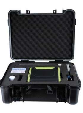 SF8000-CH4甲烷气体分析仪报警器光离子原理