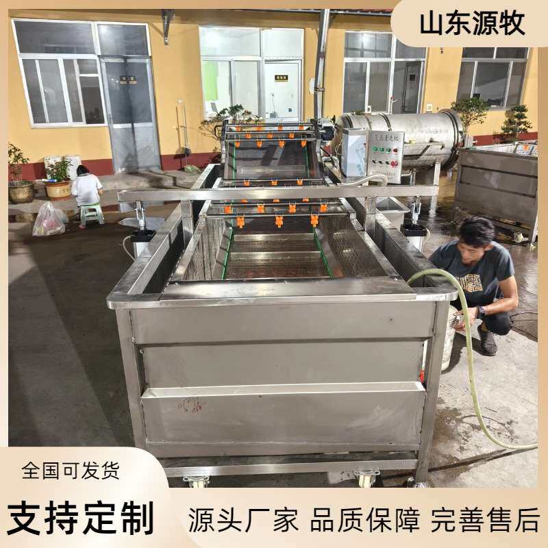 网链式清洗机豆角高压喷淋冲洗机设备预制菜生产清洗流水线