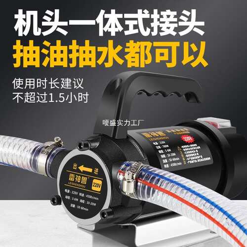油水两用抽油泵电动抽水泵12V24V220V伏直流高压抽水泵加油机