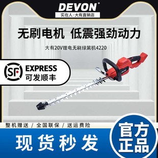 大有无刷绿篱机4220电动修剪机多功能园林剪茶机充电式 小型修枝剪