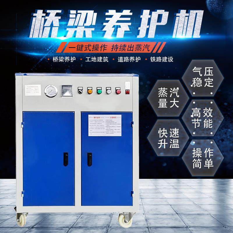 桥梁混凝土养护设备蒸汽养护机全自动电加热蒸汽发生器蒸养机