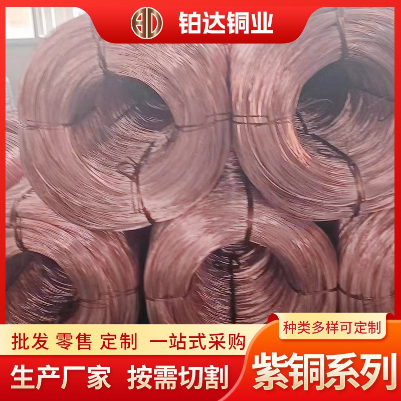 紫铜丝厂家现货切割tu1tu2软硬态纯铜铜线材编织无氧退火铜丝铜线