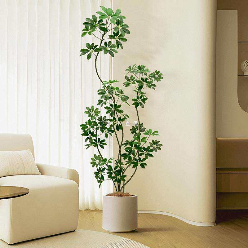 鸭脚木绿植轻奢室内客厅仿生植物装饰落地大盆栽摆件假树