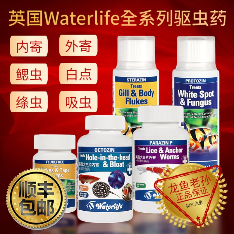 英国进口Waterlife大白片龙鱼魟鱼罗汉内寄外寄鳃虫白点头洞凸眼