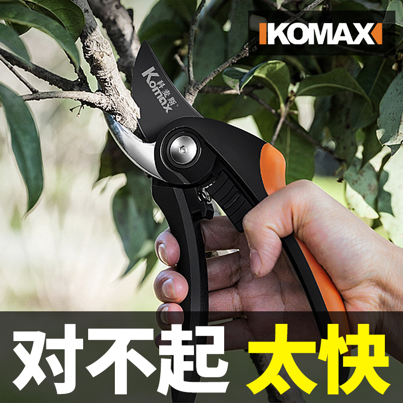 修剪树枝剪刀剪枝园林粗枝果树花剪盆景园艺花强力花艺剪花枝剪子