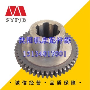 Z50 沈阳机床管螺纹车床S1 343齿轮2028L M4原厂真品齿轮 262A