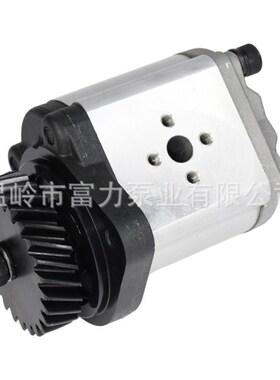 F0NN600AA 81863197  82023350 拖拉机齿轮泵 出口品质纽荷兰