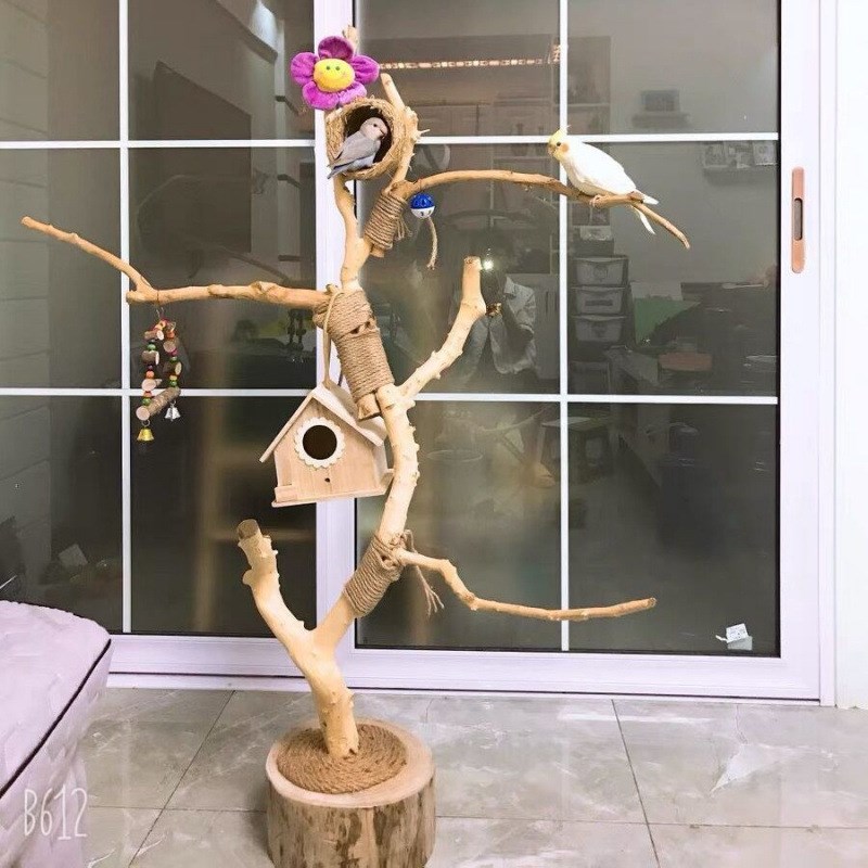 干树枝原木杈天然干枝枯枝枯木树干鸟架造型壁挂衣架吊顶树枝装饰