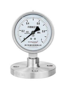 YTP100BF 法兰连接DN25 DN50 316L衬四氟不锈钢耐震隔膜压力表